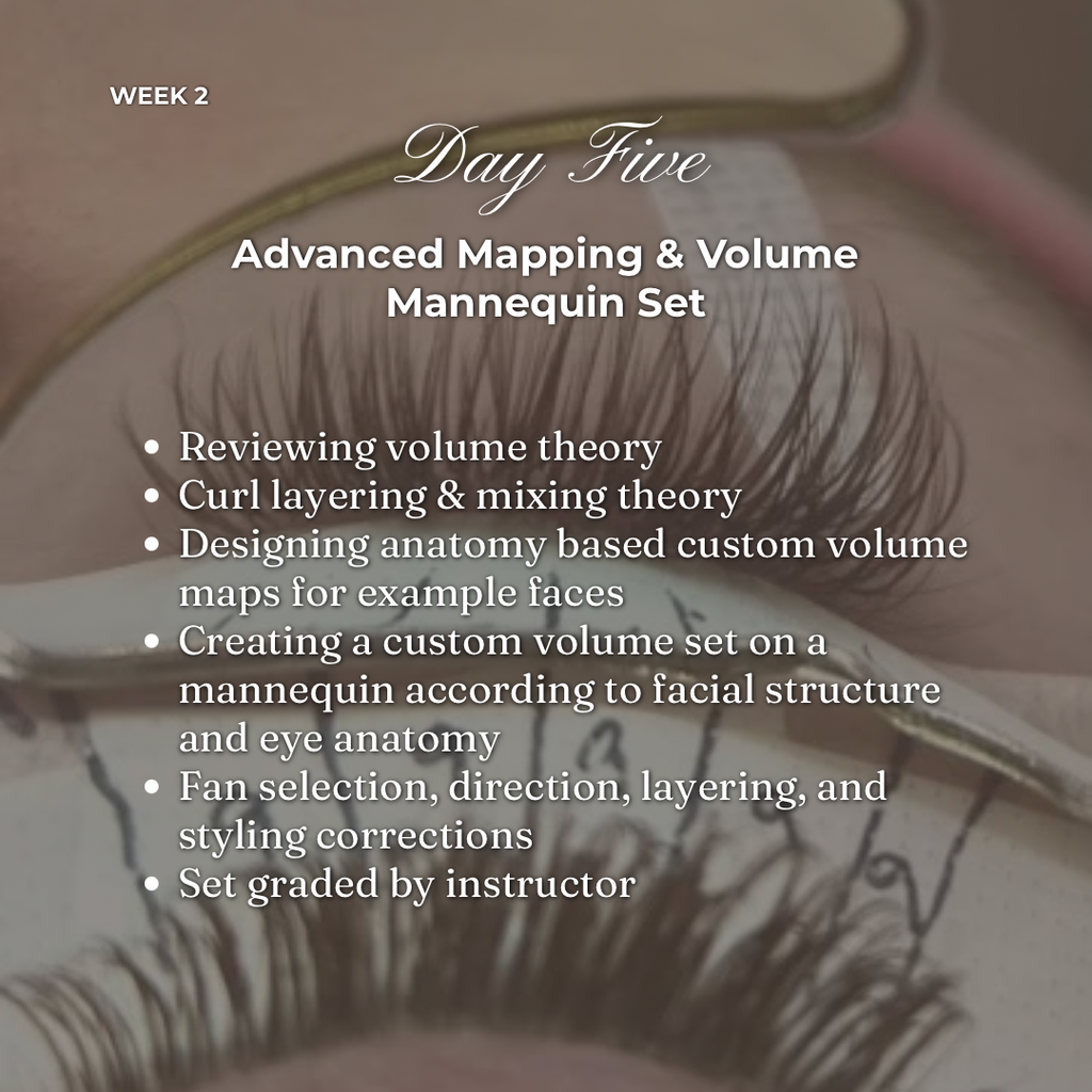 The Lash Intelligence Method - 2-week Certification Program