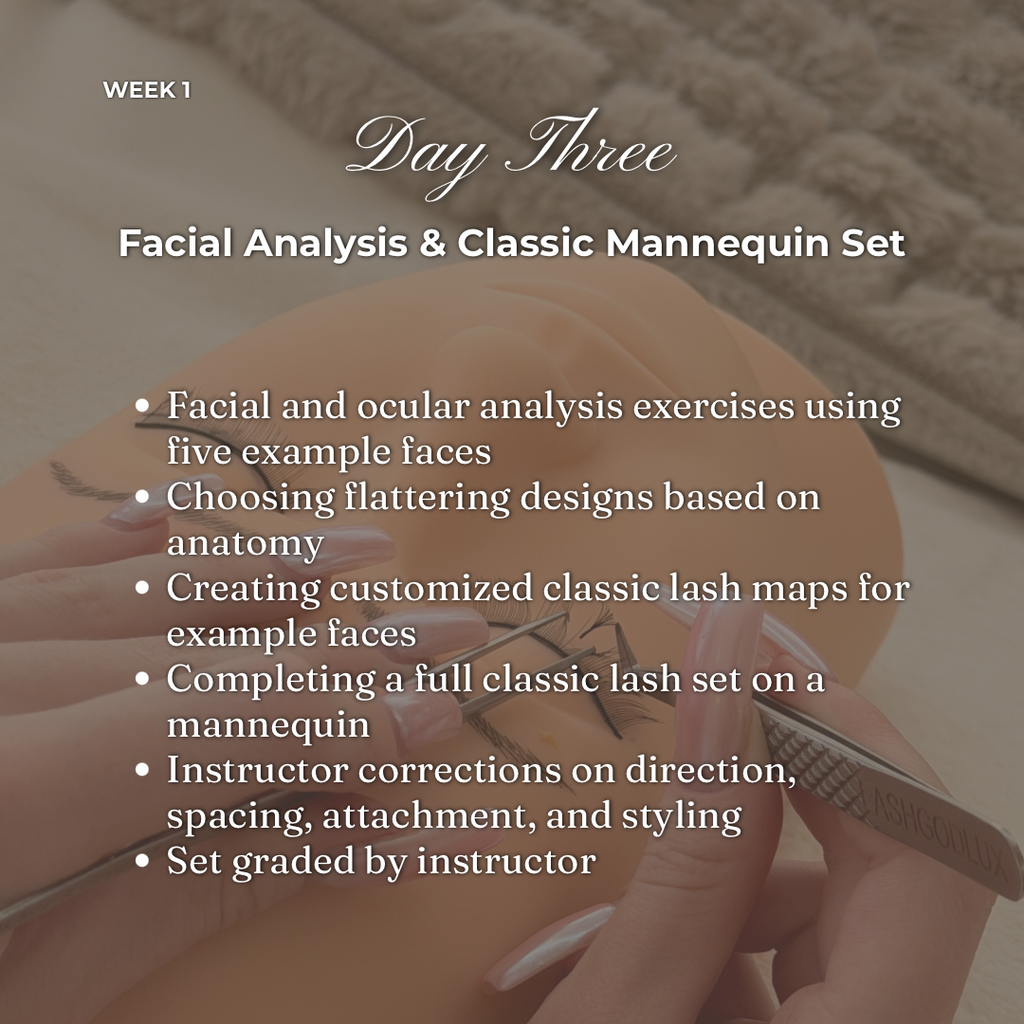 The Lash Intelligence Method - 2-week Certification Program